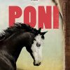 poni_2D